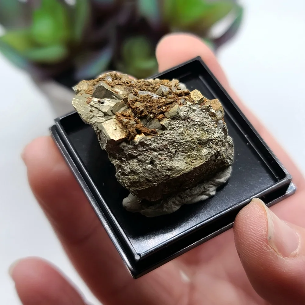 USA Pyrite Crystal Mineral Specimen from Tennessee - Old Stock
